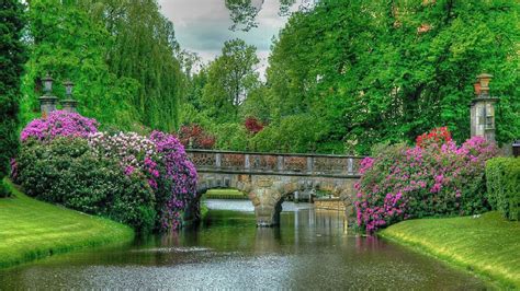 Bridge Above Water Between Green Plants Trees Colorful Flowers Green