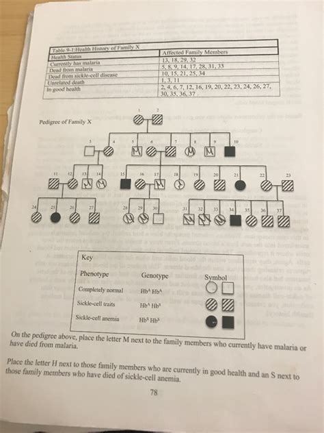 Pedigree Charts Inheritance Cheat Sheet Genetics Pint Vrogue Co