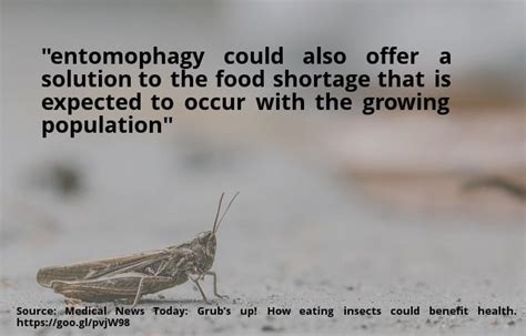 Quote Medical News Today Grubs Up How Eating Insects Could Benefit