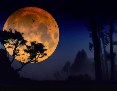 Moon Wallpapers Beautiful Pictures Photo 34712973 Fanpop