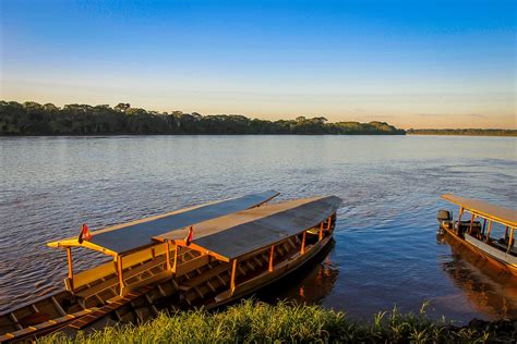 Amazonien Amazonas Portal