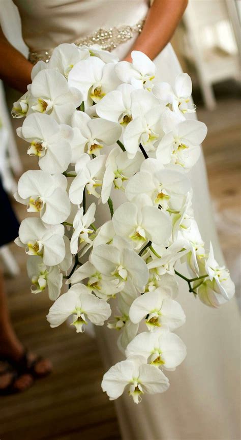 Bride S Glamorous Cascading Bouquet Of White Phalaenopsis Orchids