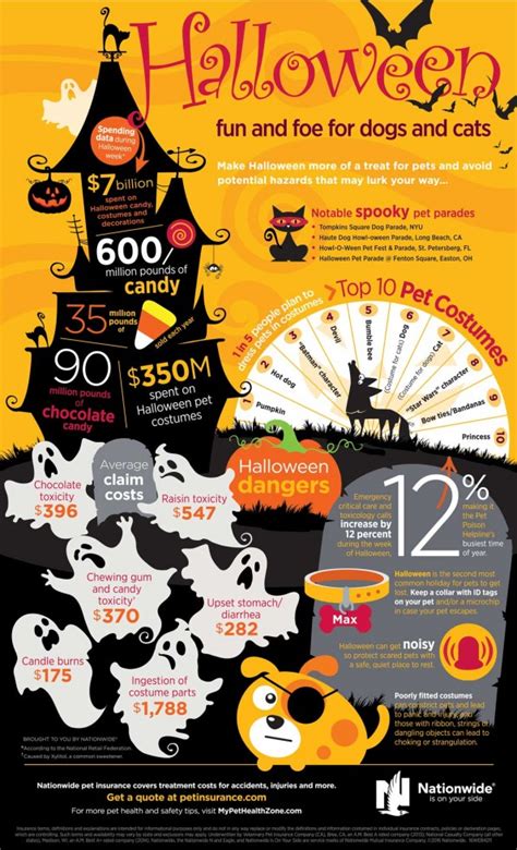 It is our goal to provide a comfortable and safe environment for your pet. Halloween Pet Safety