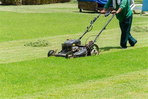 Spring Cleaning How To Keep Your Lawns Tidy At All Times Crewcut