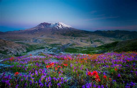 Mountains Flower Field Flowers Mountain Nature Landscape Image Gallery