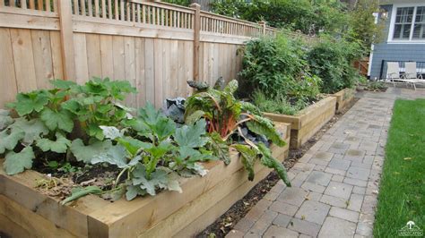 Raised Vegetable Gardens For Health And Happy Gardening Natures