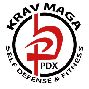 International logo of krav maga. Krav Maga Portland - Self Defense & Fitness