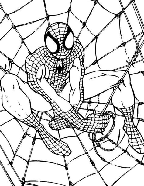 Desene Cu Spiderman De Colorat Imagini și Planșe De Colorat Cu Omul