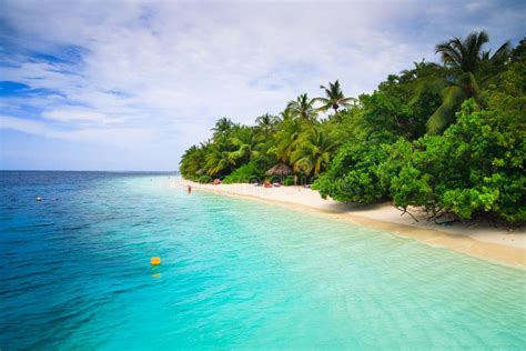 Tropical Paradise At Maldives Stock Photo Image Of Idyllic Maldives