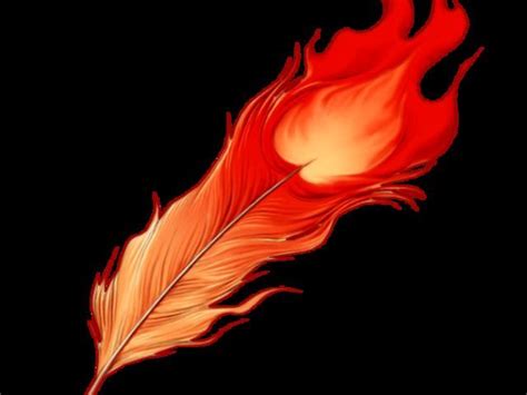 What Is Your Wand Core Phoenix Feather Tattoos Phoenix Feather