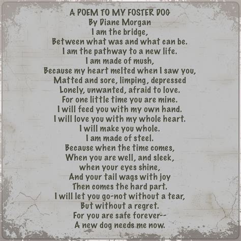 43 Rescue Dog Poems And Quotes Helencu