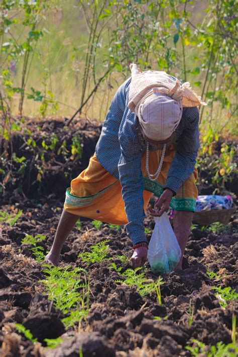 A Lady Farmer Sowing The Seeds Pixahive