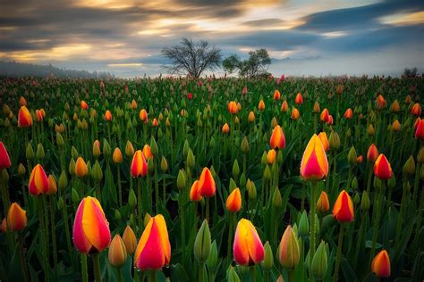 April Showers Fraser Valley Bc By Sarah Lyndsay On 500px