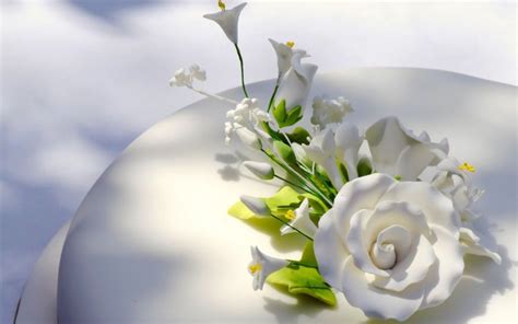 White Rose Roses Photo 32604491 Fanpop