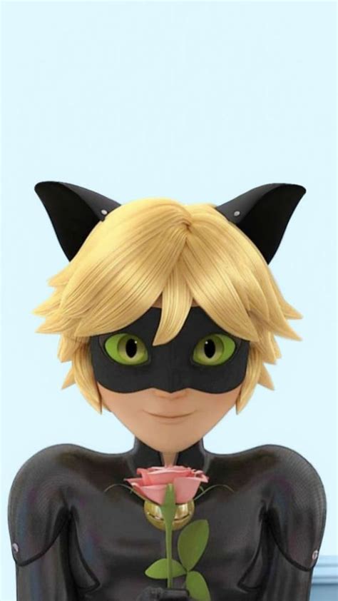 A collection of the top 47 cat noir wallpapers and backgrounds available for download for free. Cat Noir papel de parede para celular | Anime miraculous ...