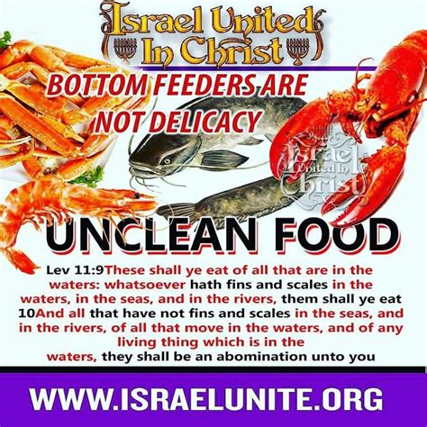 47 Best Unclean Foods Images On Pinterest Torah Bible Scriptures And
