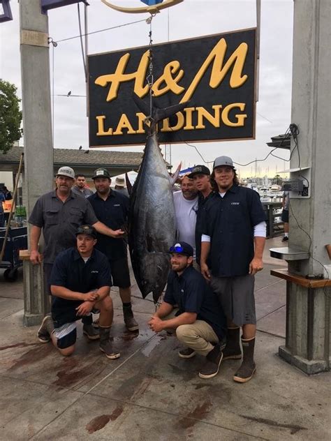 In 1983, rubio opened the first dedicated fish taco joint in america on. Fish Report - The Largest Bluefin Tuna of the 2017 San ...