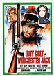 Roy Colt et Winchester Jack - Film (1970) - SensCritique