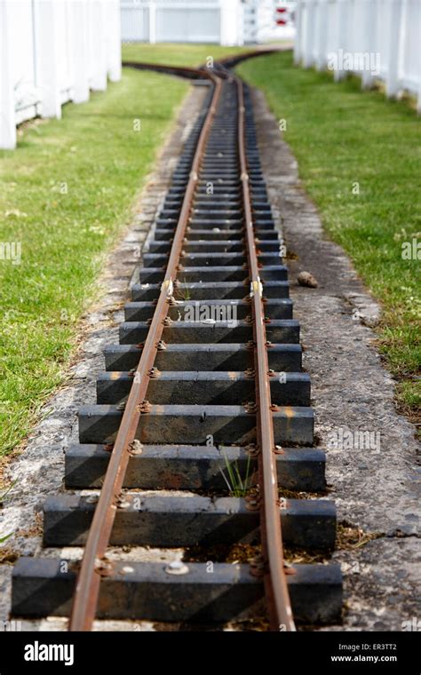 Narrow Gauge Railroad