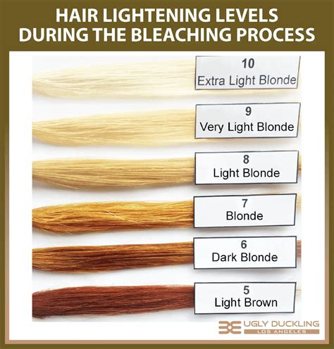 How To Color Hair Professionally 15 Steps You Need To Get Right Ugly Duckling