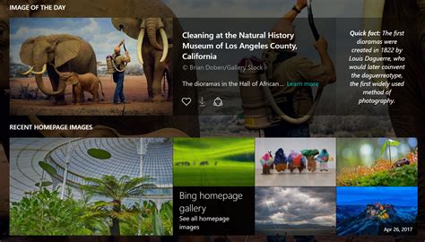 Microsoft Reveals The Hidden Story Behind Bings Image Of