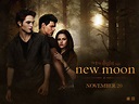 "The Twilight Saga: New Moon" Summit Entertainment | Twilight saga new ...