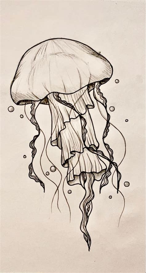 Jellyfish Jellyfish Art Drawing Cool Art Drawings Book Art Drawings