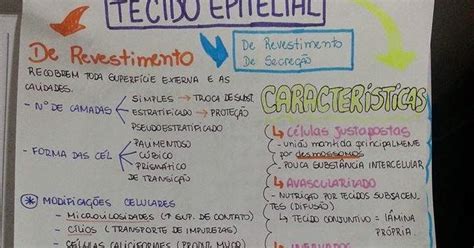 Eu Escolhi Estudar Tecido Epitelial Tecido Epitelial Tecidos Biologia