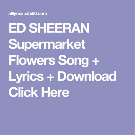 Lirik Lagu Ed Sheeran Supermarket Flowers Termasuk Kata Tidak Baku