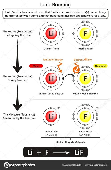 Ionic Bonding Infographic Diagram Example Ionic Bond Lithium Fluorine