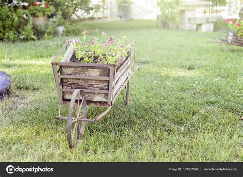 Decorative Wheelbarrow In A Garden With Flower Inside — Stock Photo