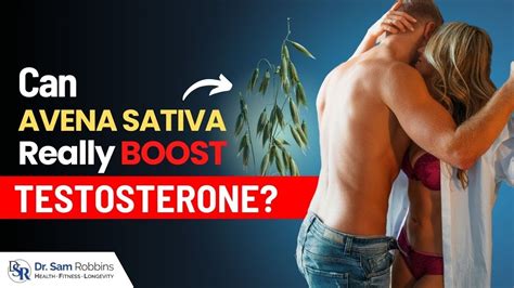 💋 Increase Your Testosterone And Sex Drive With Avena Sativa True Or False By Dr Sam Robbins