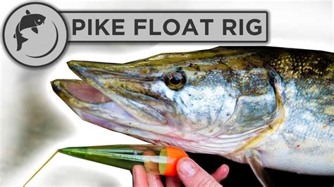 How To Tie A Pike Fishing Rig How To Catch Pike Youtube