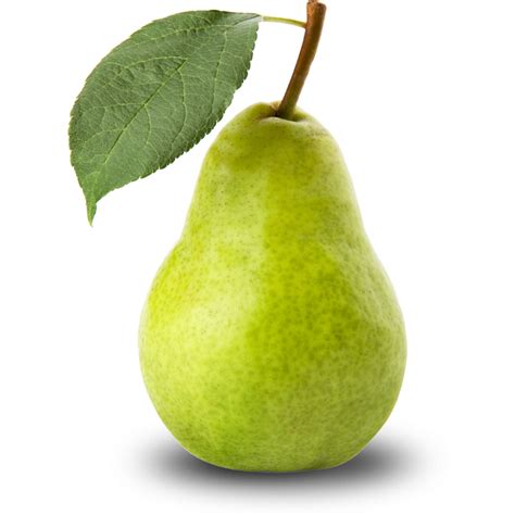 Collection Of Pear Hd Png Pluspng