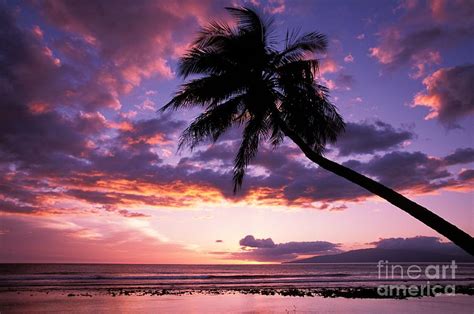 Purple Sunset Photograph By Ron Dahlquist Printscapes