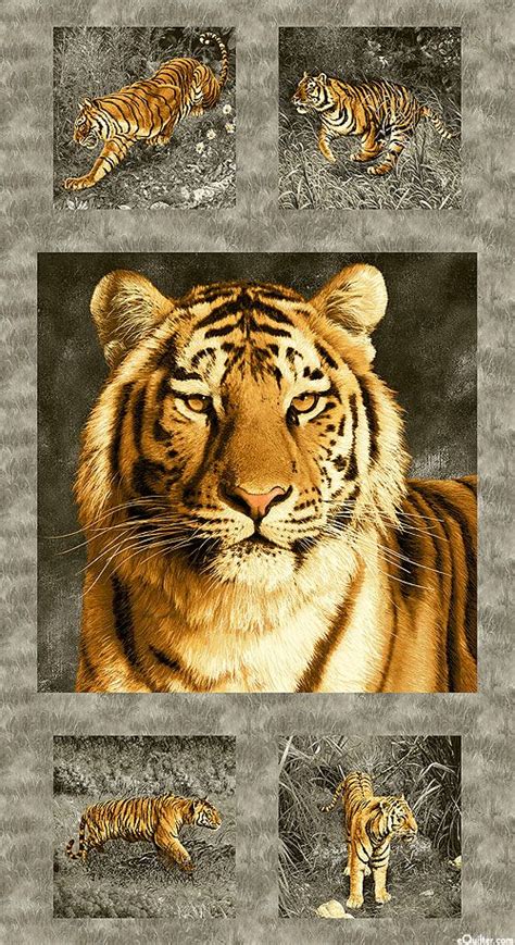 Tiger Kingdom On The Prowl 24 X 44 Panel Quilt Fabrics From
