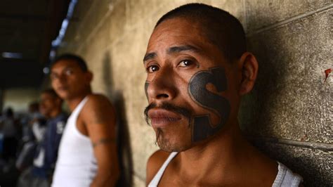In el salvador, there are two dominant gangs, ms13 and barrio 18. El Salvador's New President Faces Gangs, Poverty And ...