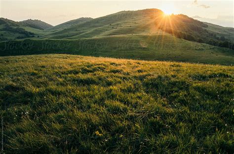 Grassy Mountain Meadow At Sunset By Stocksy Contributor Cosma Andrei