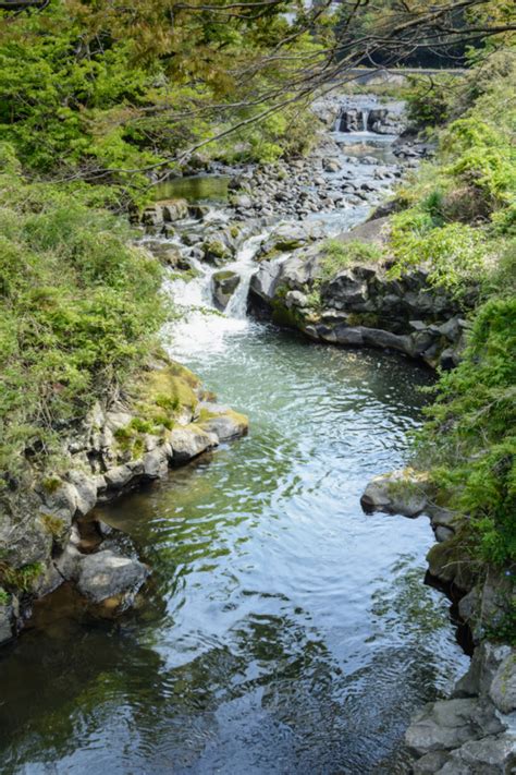The site owner hides the web page description. 黄瀬川の三島溶岩流 - 牛歩的写真中心網録"