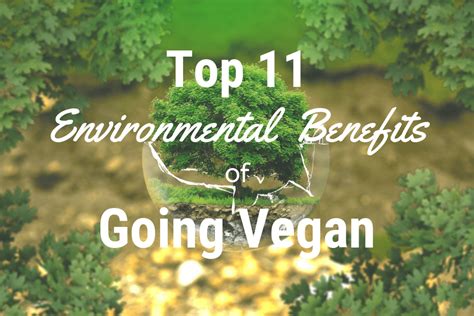 11 Environmental Benefits Of Going Vegan Save Our Planet