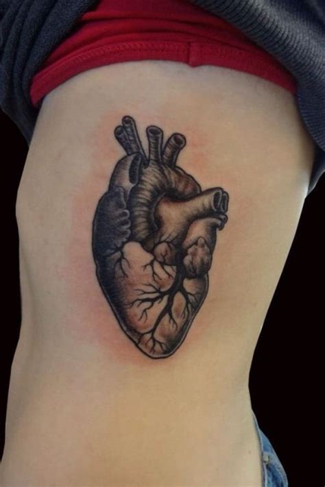 Image Result For Anatomically Correct Heart Tattoo Outline