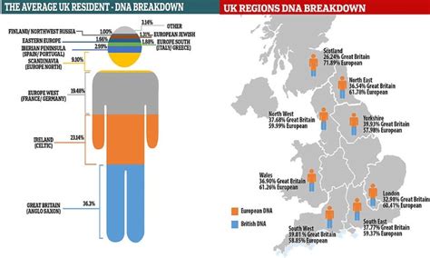 Dna Makeup Of Average White American