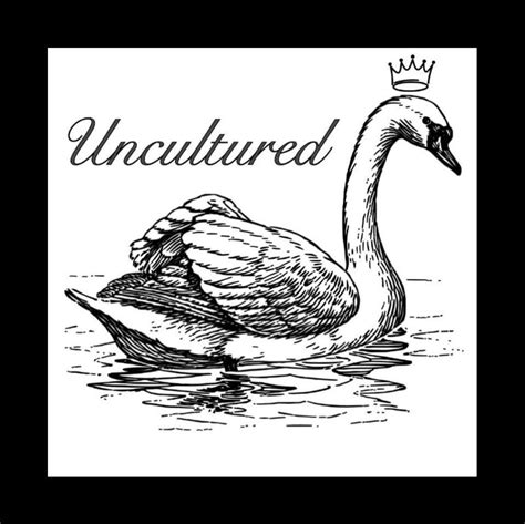 Uncultured Swan