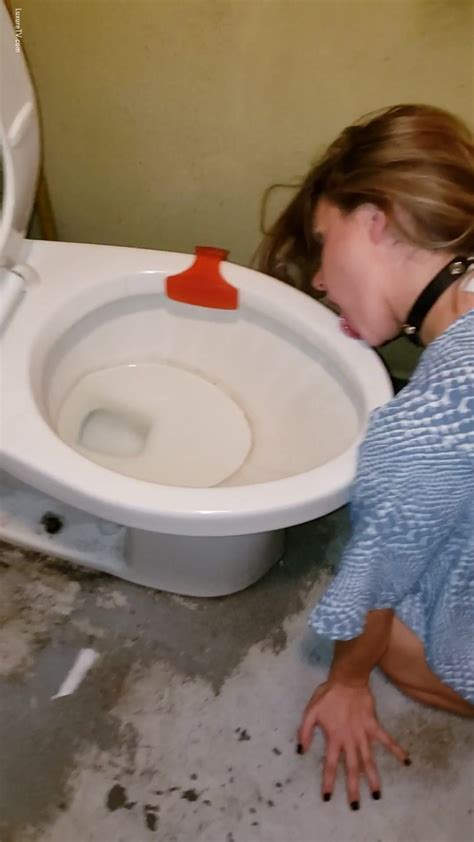 Degraded Dirty Slut Licking Public Toilet ThisVid Com