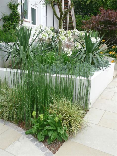 Garden on a roll, how to create an instant garden border, a review of the garden on a roll product in the uk. Contemporary Garden Planting & Plants Used In Philip Nash ...