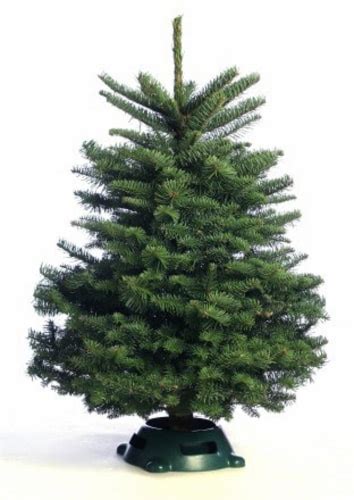 Noble Fir Tabletop Christmas Tree 2 3 Ft 1 Ct Kroger