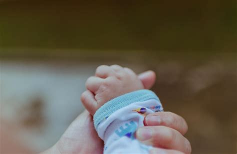 Mom Holding Baby Hand Free Stock Photo Public Domain Pictures