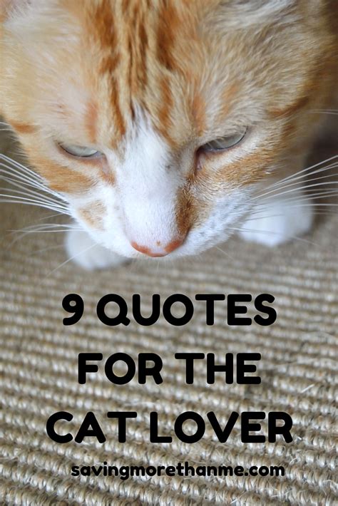 9 Quotes For The Cat Lover Winter And Sparrow