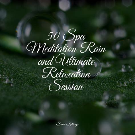 Rainy Summer - The Relaxing Sounds of Swedish Nature/ASMR Sleep Sounds