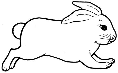 Coloring is an amazing activity for your little bunny rabbit. Rabbit Coloring Pages - GetColoringPages.com
